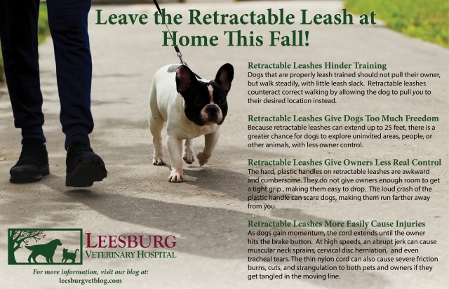 Dangers of Retractable Leashes Walk your dog week